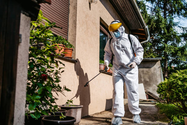 Best Insect Control  in Princeton, KY