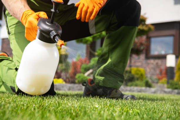 Best Affordable Pest Control Services  in Princeton, KY
