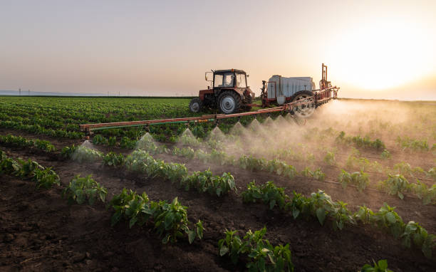 Best Commercial Pest Control Services  in Princeton, KY