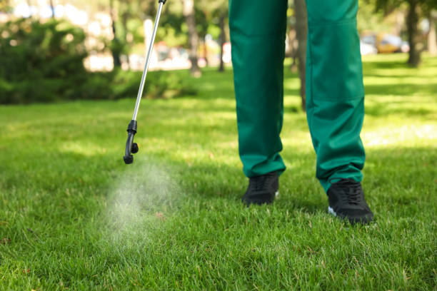 Pest Prevention Services in Princeton, KY