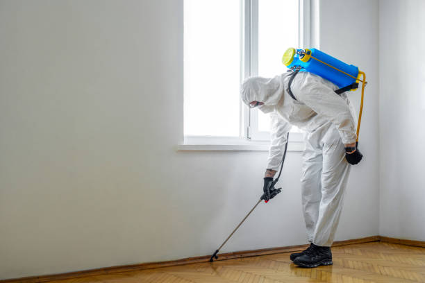 Best Best Pest Control Companies  in Princeton, KY