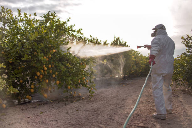 Best Pest Prevention Services  in Princeton, KY