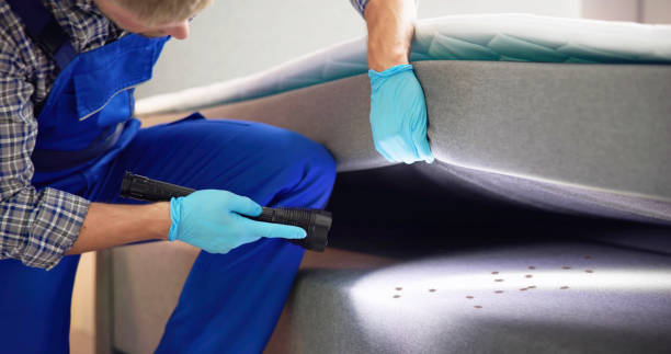 Best Best Pest Control Companies  in Princeton, KY