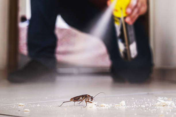 Professional Pest Control in Princeton, KY