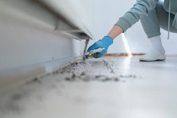 Reliable Princeton, KY Pest Control Solutions