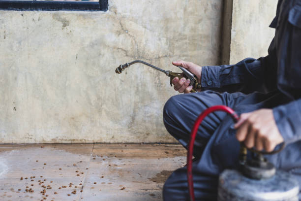Best Emergency Pest Control  in Princeton, KY
